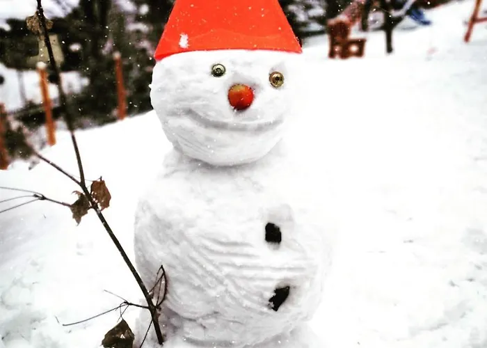 בית נופש Poziomkowa 5 *